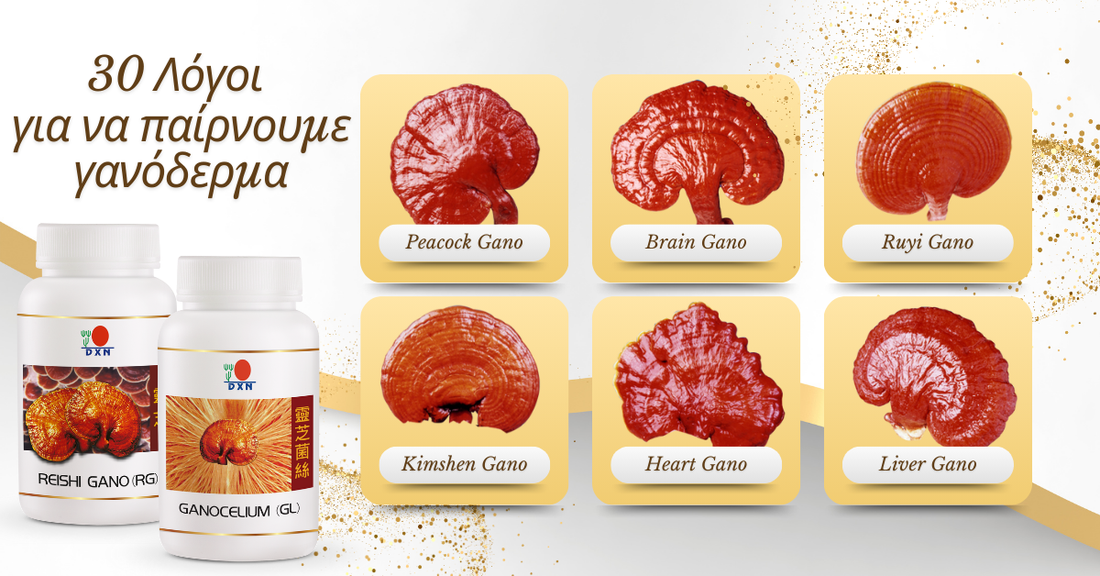 Ganoderma